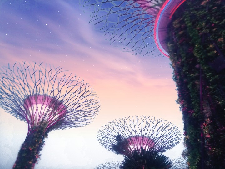 Gardens By The Bay