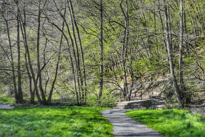 nature