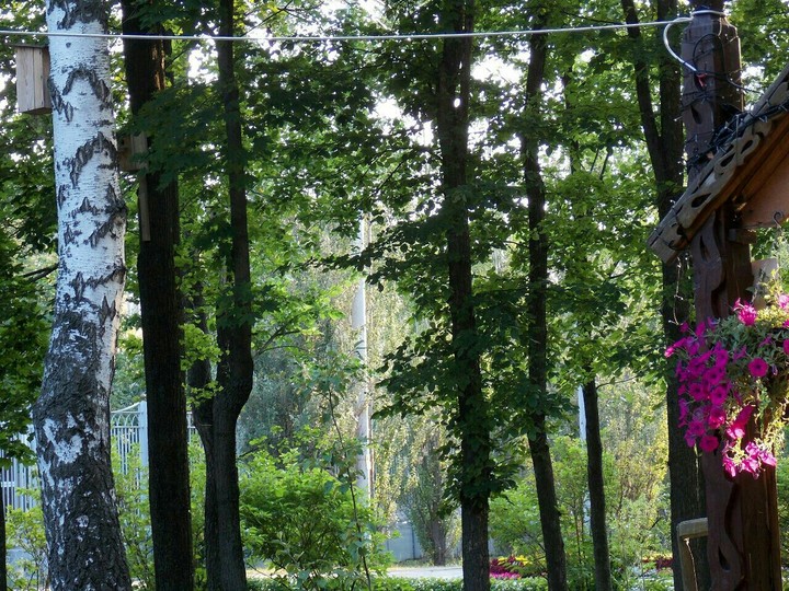 garden