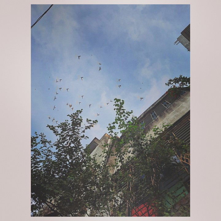 Freedom