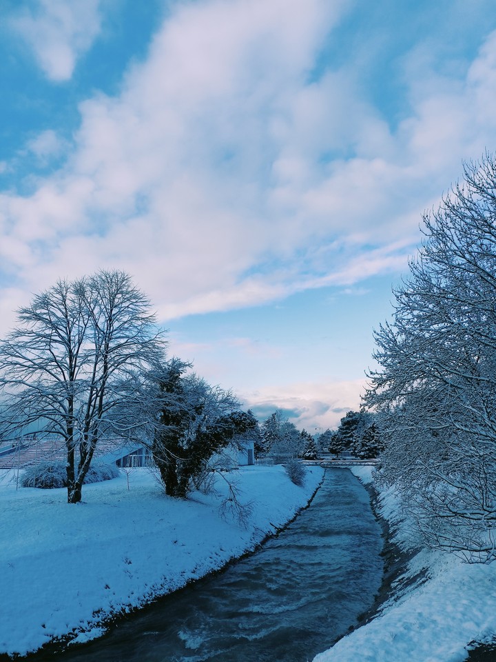 Winter