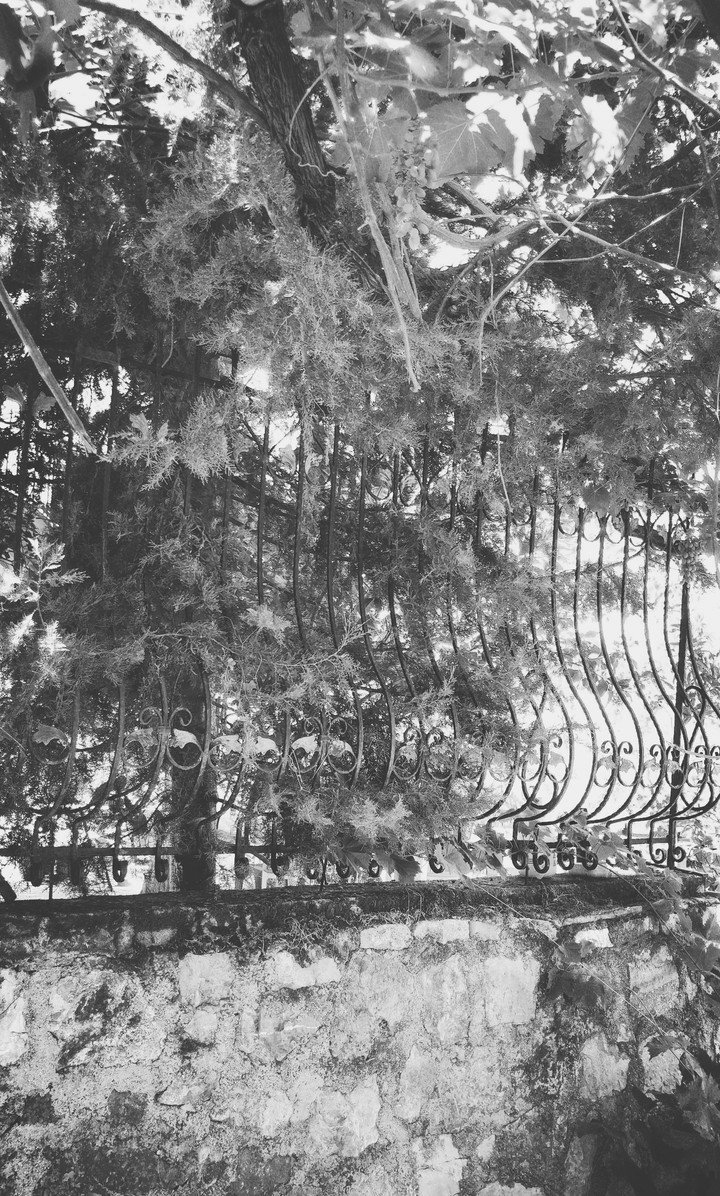 wall