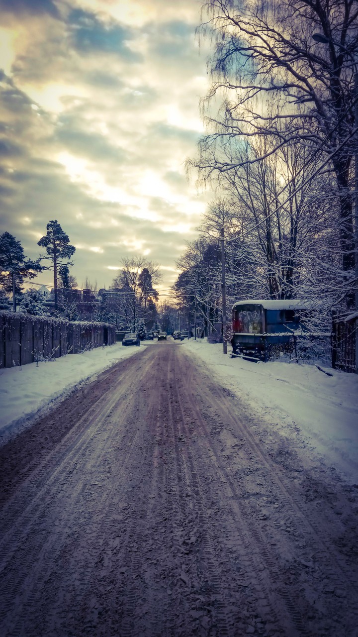 зимняя дорога
