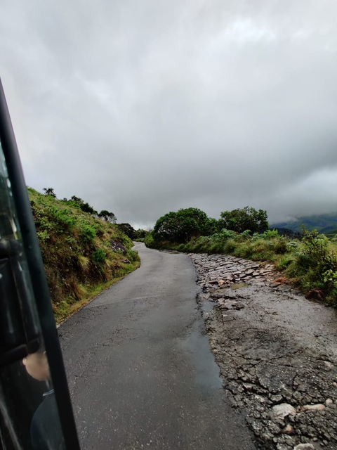 the road taken by