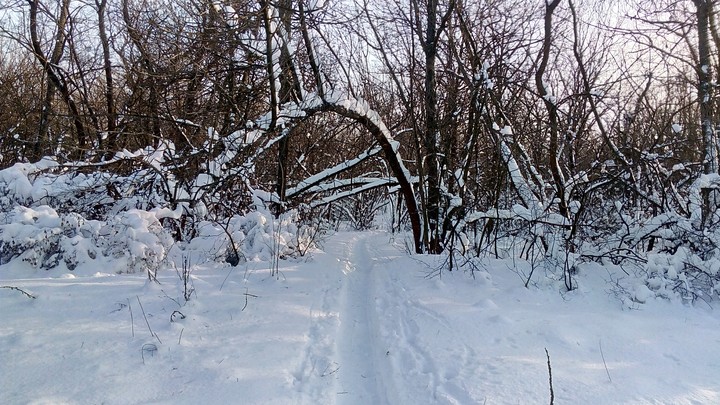 winter tale for cross