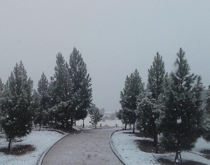 iranian Iland
