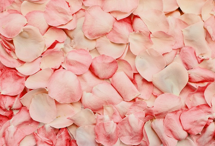 Rose Petals