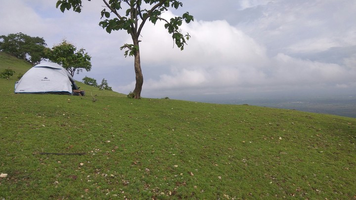green Love, vanchu point