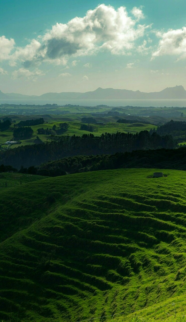 Green..!