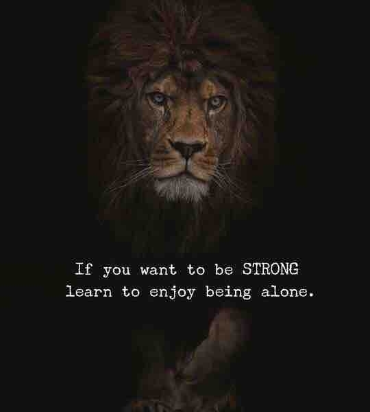 fearless