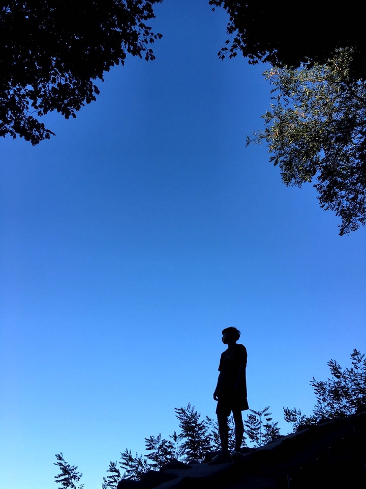 바라봄