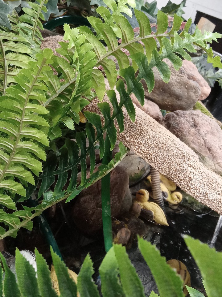 nature