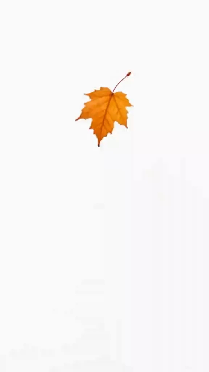 Autumn