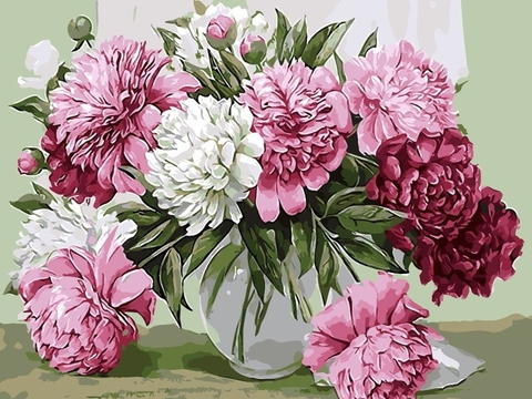 peony, plant háttérképek