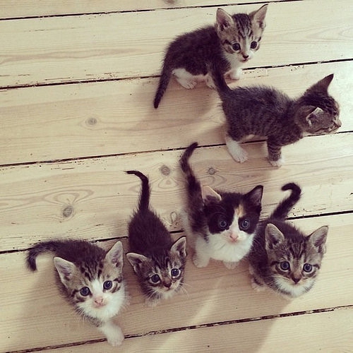 ♥