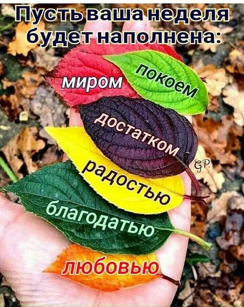я вас обнимаю!