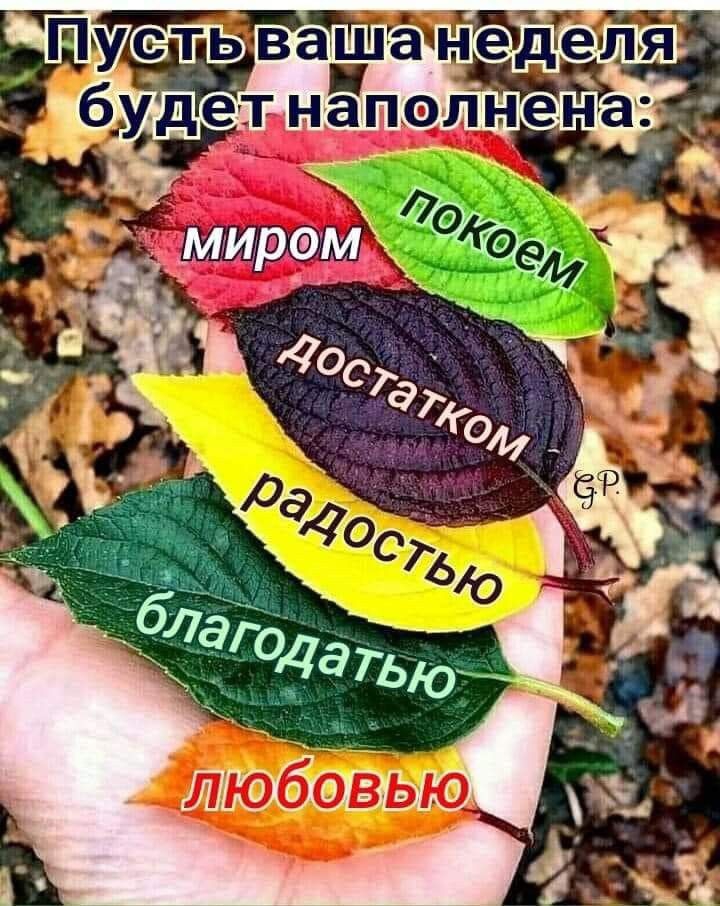 я вас обнимаю!