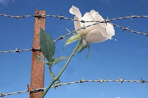ΒΖ