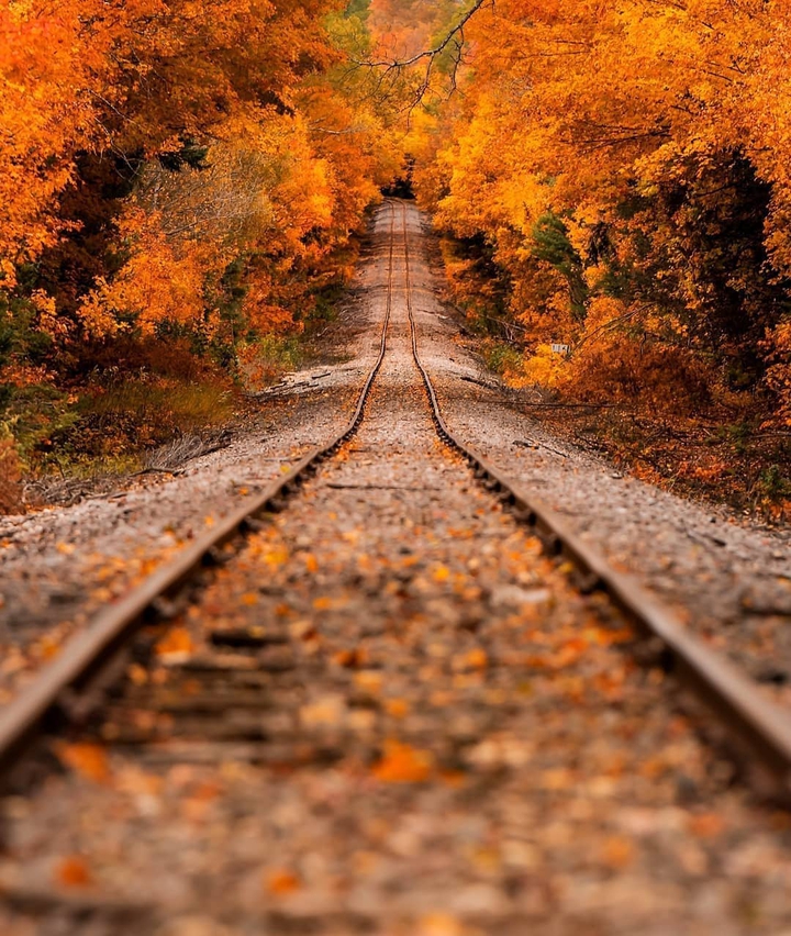 uzun bir tren yolu
