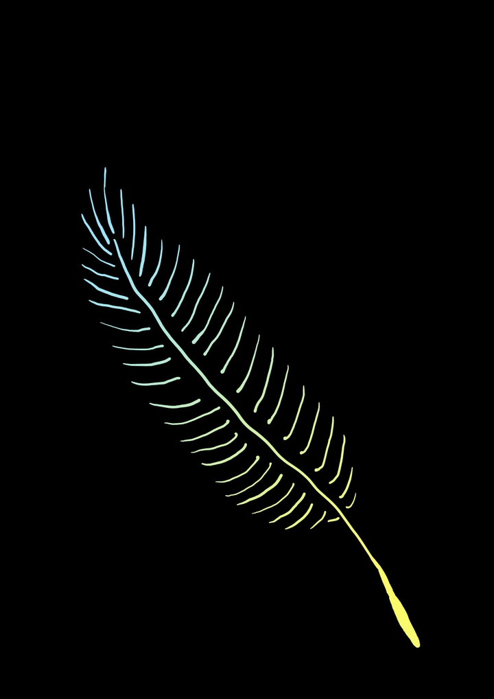 feather3