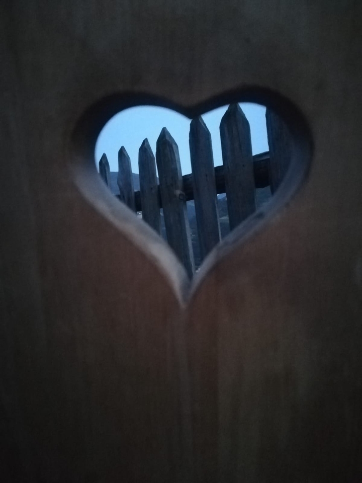 a heart is all we need♥️