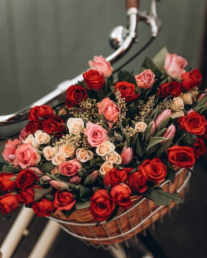 Flower, Petal, Flower_bouquet