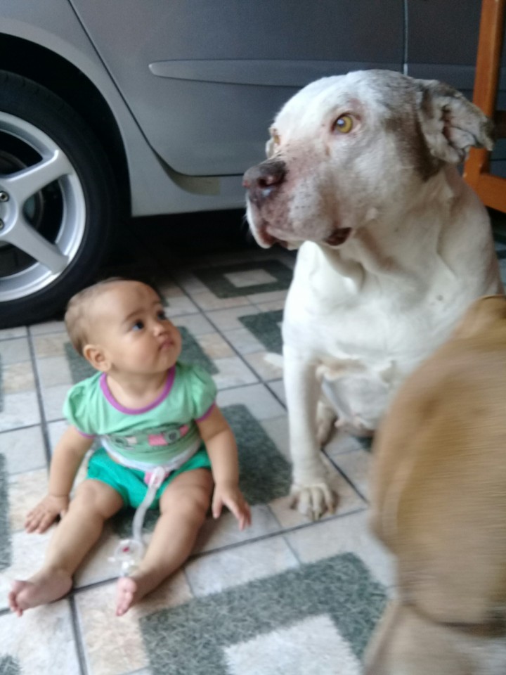 so LOVE