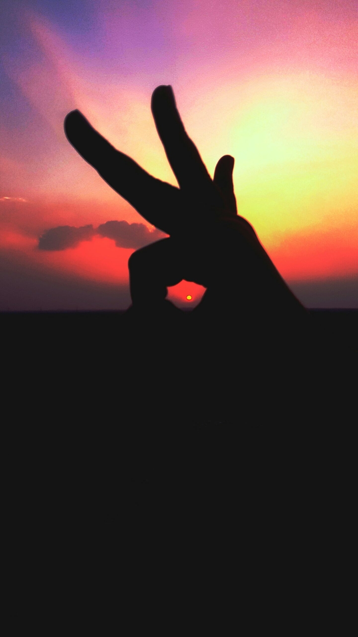 Hand Gestures