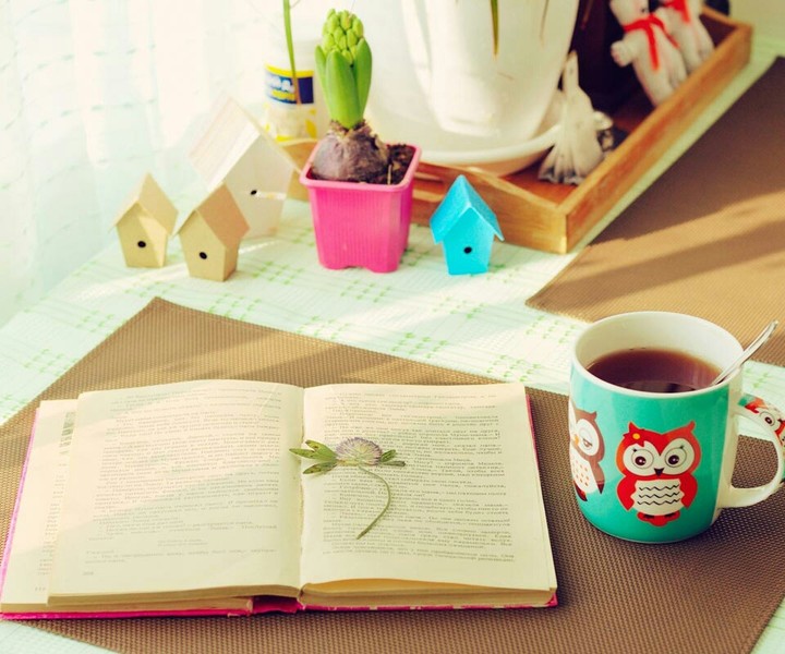 flower in a book
