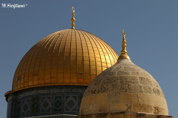 free palestine