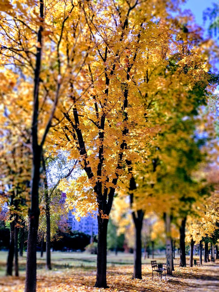 autumn