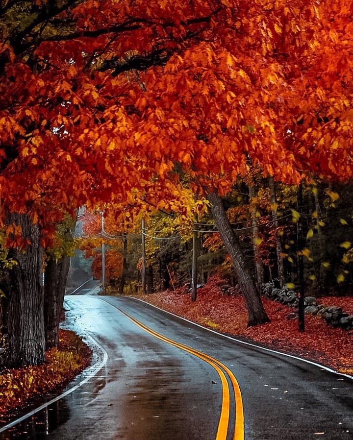 ✴ Massachusetts