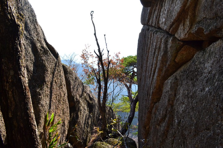 산이미지