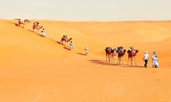 desert
