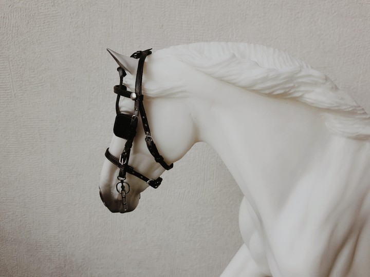 horse is my love