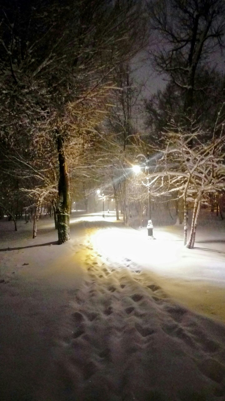 парк зимой