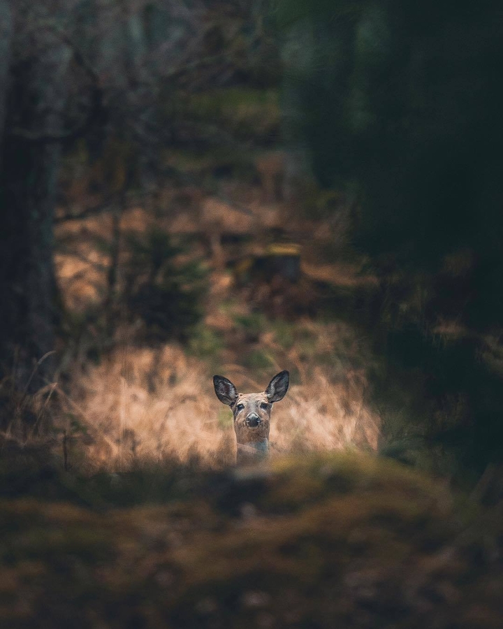 Nature