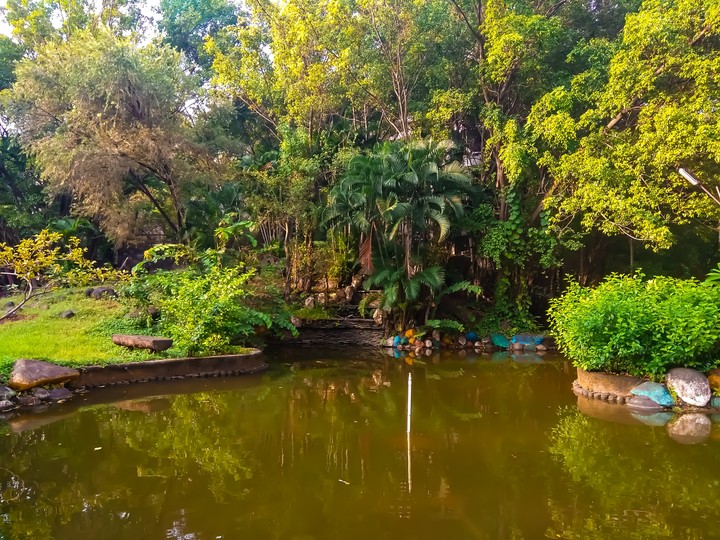 Nature is where my heart recides 
