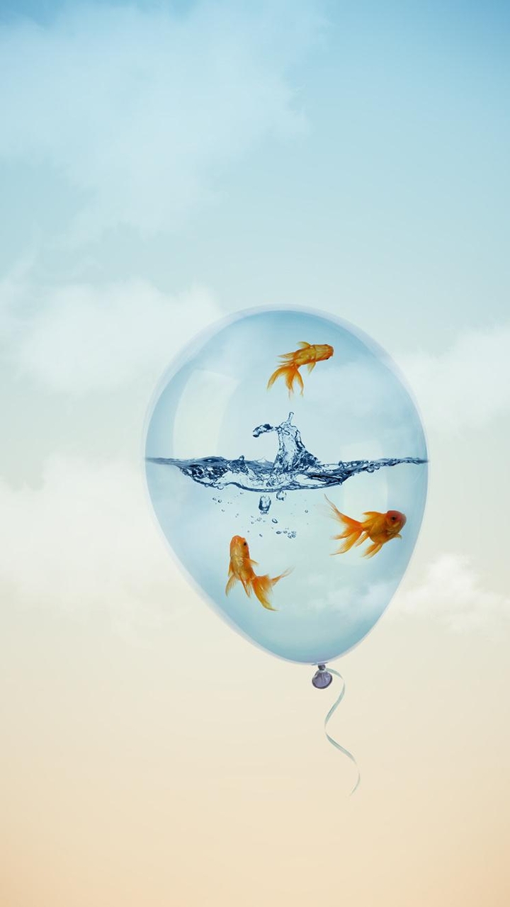 Fish in balloon