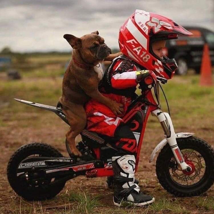 РОССИЯ ??