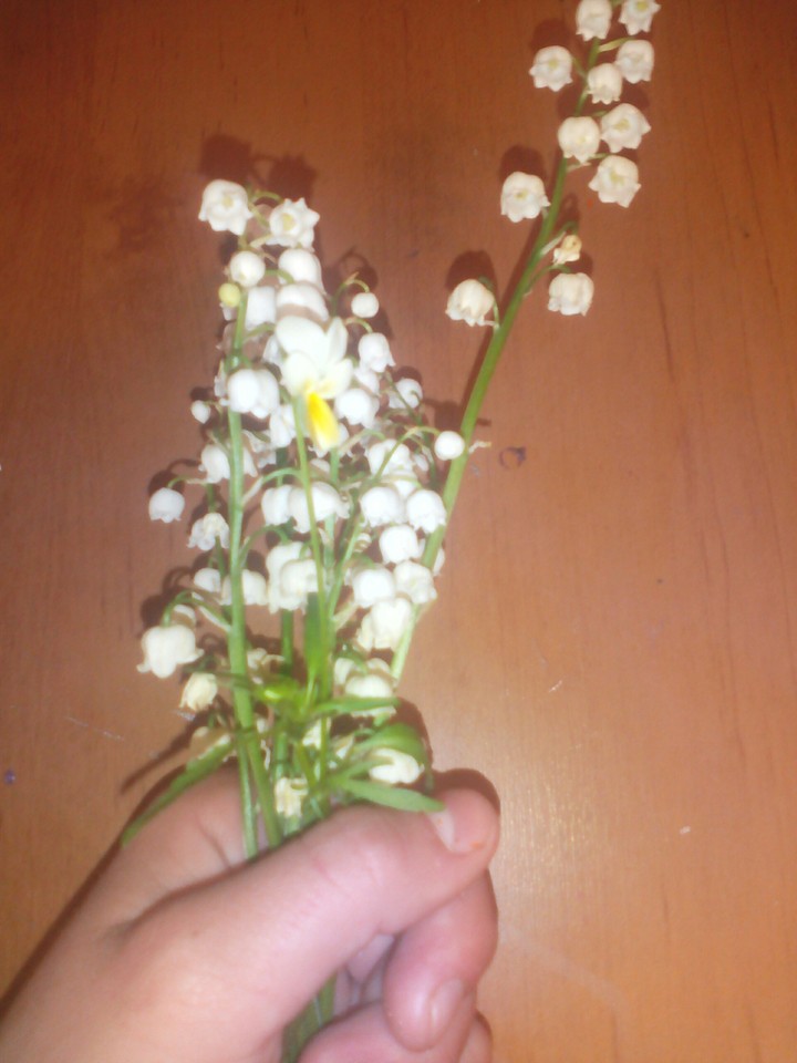 ландышы