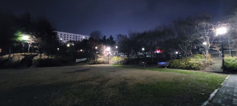 Night Vision