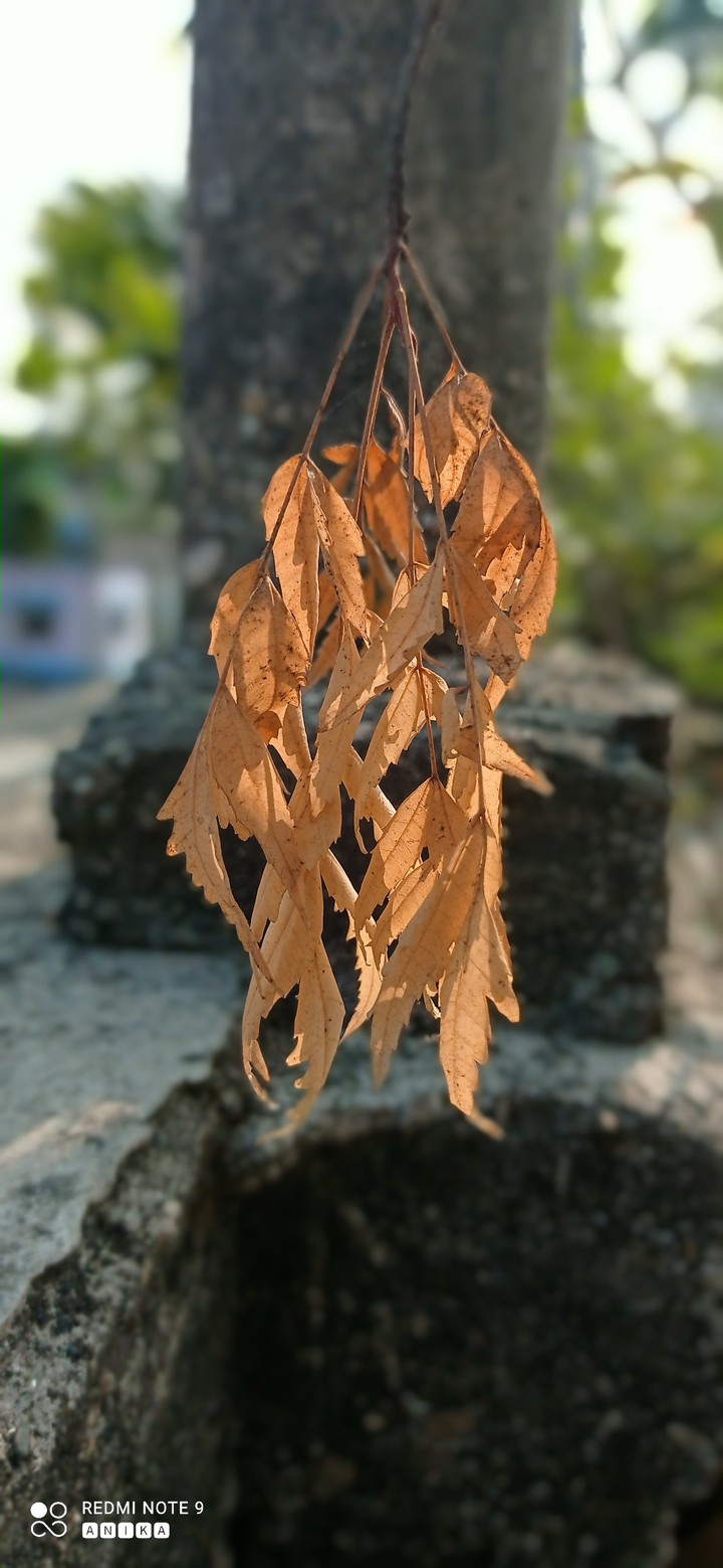 autumn arrives..