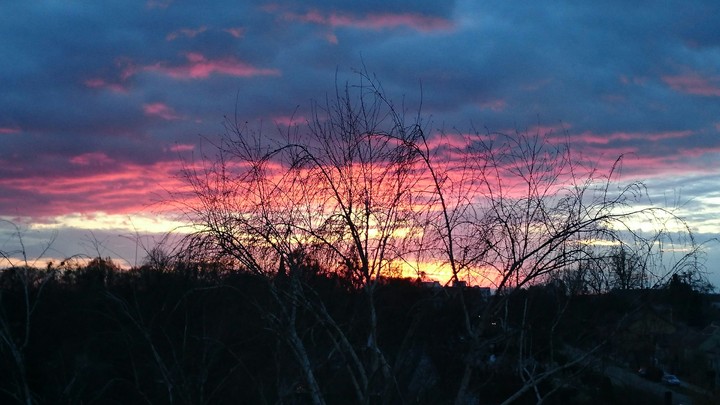 evening