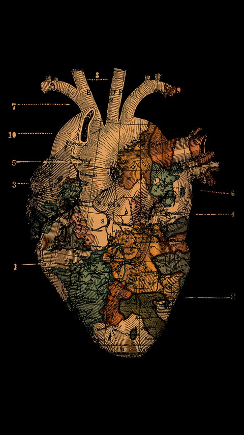 Heart