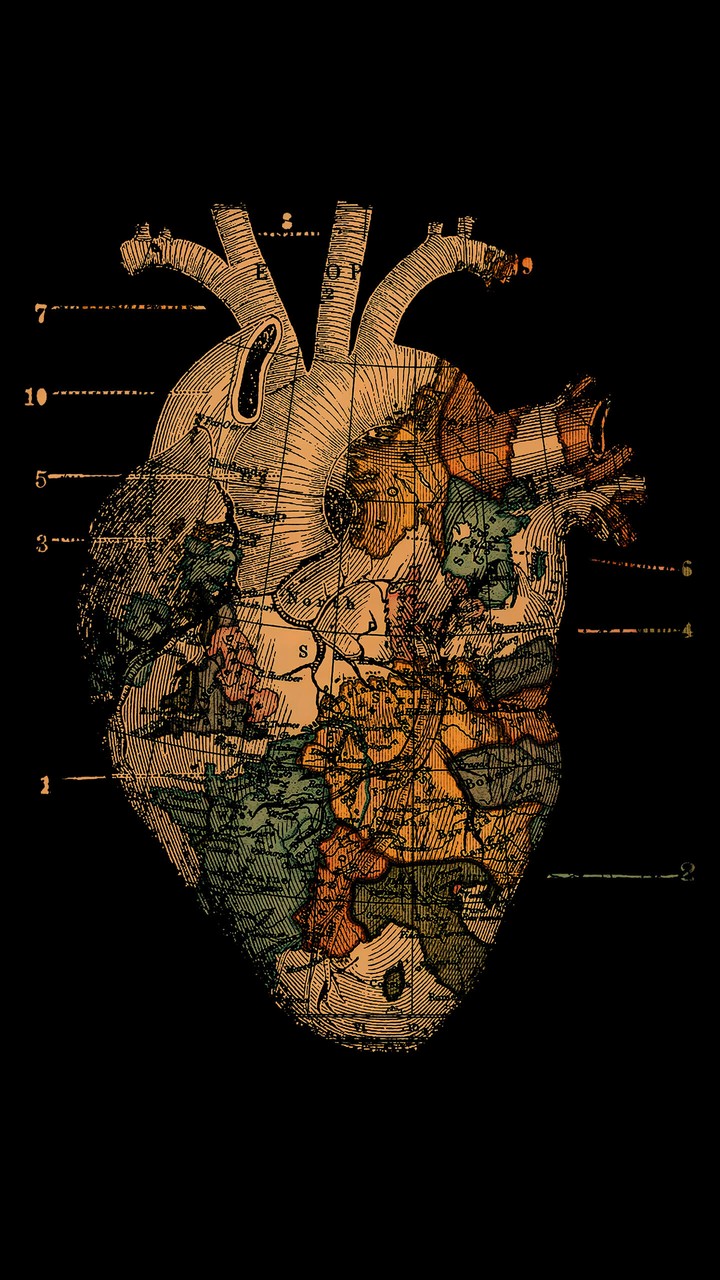 Heart