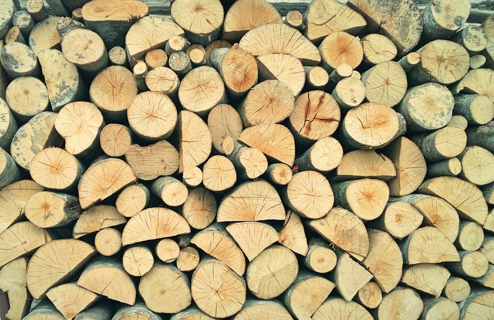 woodland