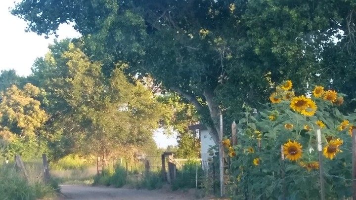 Fading View