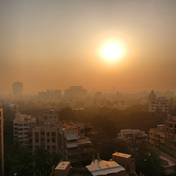 morning sunshine