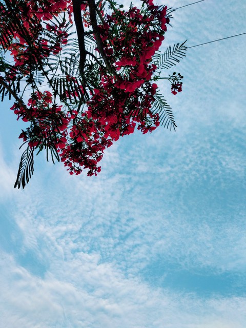 beauty of... sky